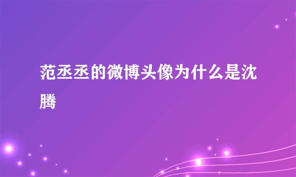 范丞丞的微博头像为什么是沈腾