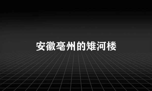 安徽亳州的雉河楼