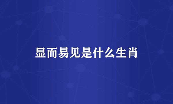 显而易见是什么生肖