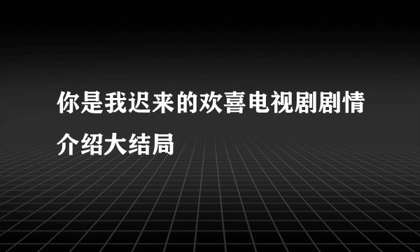 你是我迟来的欢喜电视剧剧情介绍大结局