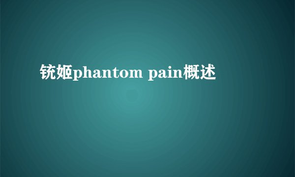 铳姬phantom pain概述
