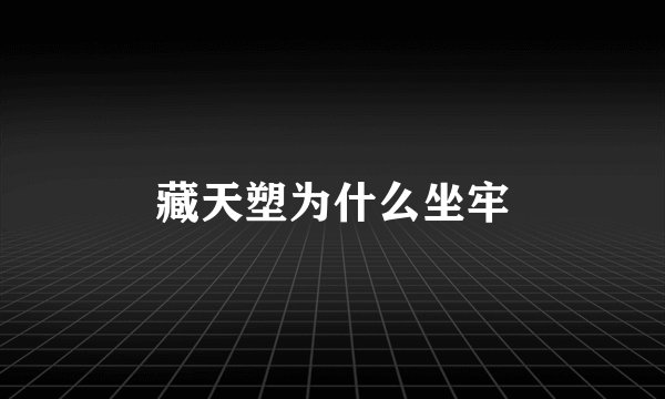 藏天塑为什么坐牢