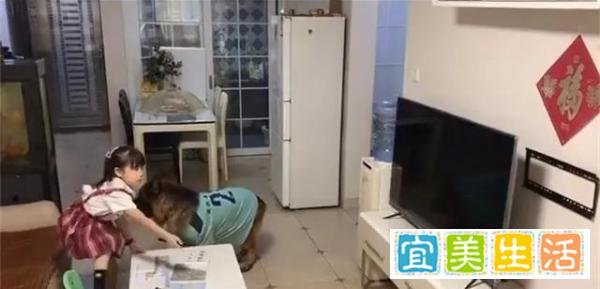 女孩看电视德牧帮望风上热搜?网友:狗狗为啥不把作业写了??