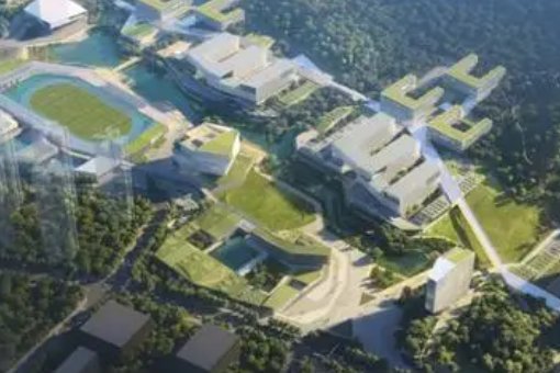深圳理工大学在山东的分数线？
