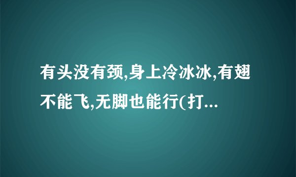 有头没有颈,身上冷冰冰,有翅不能飞,无脚也能行(打一动物)。打一动...