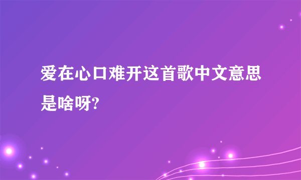 爱在心口难开这首歌中文意思是啥呀?