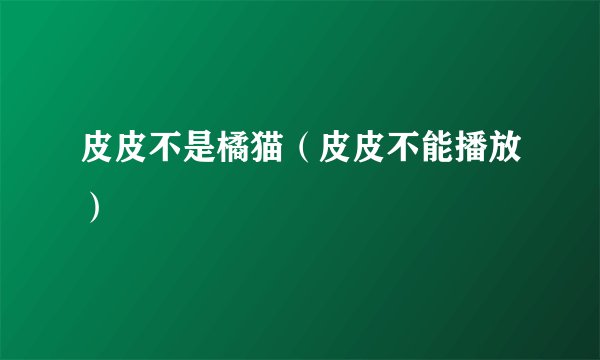 皮皮不是橘猫（皮皮不能播放）