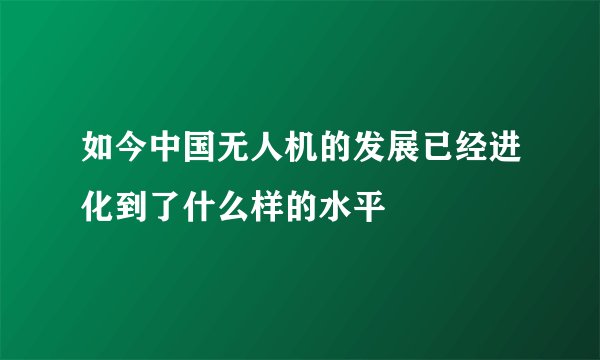 如今中国无人机的发展已经进化到了什么样的水平