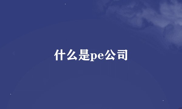 什么是pe公司