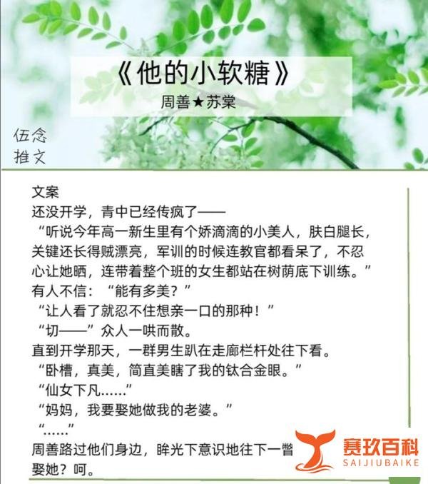 小说推荐7?甜宠文☆电竞文☆青梅竹马