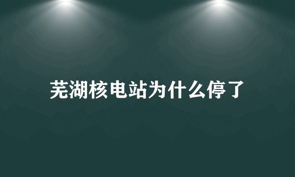 芜湖核电站为什么停了