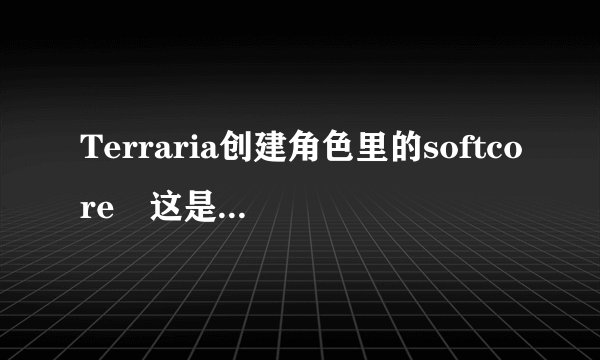 Terraria创建角色里的softcore 这是什么意思 软核