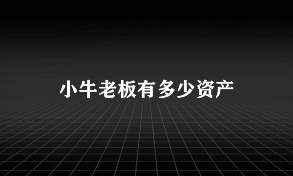 小牛老板有多少资产