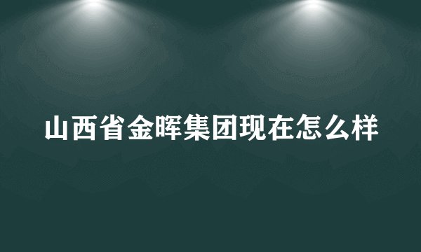山西省金晖集团现在怎么样