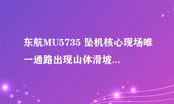 东航MU5735 坠机核心现场唯一通路出现山体滑坡,会给搜救行