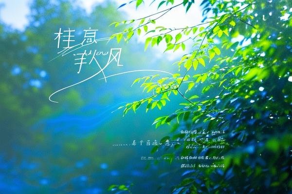 《往事随风》歌词