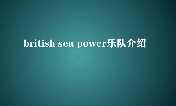 british sea power乐队介绍