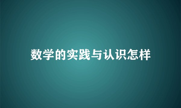 数学的实践与认识怎样