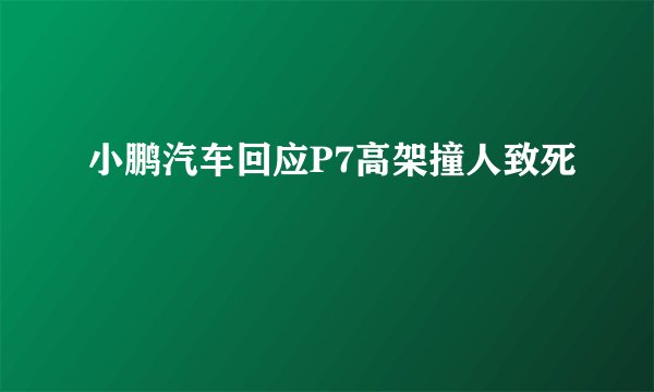 小鹏汽车回应P7高架撞人致死