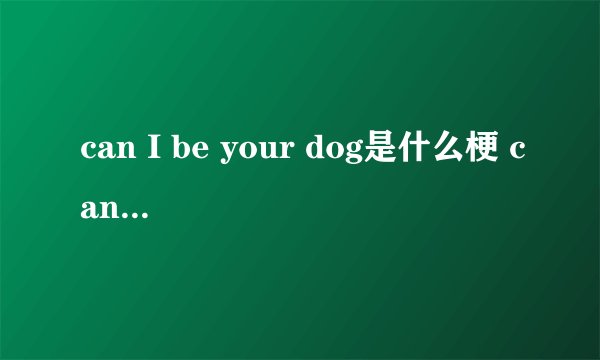 can I be your dog是什么梗 can I be your dog是什么意思