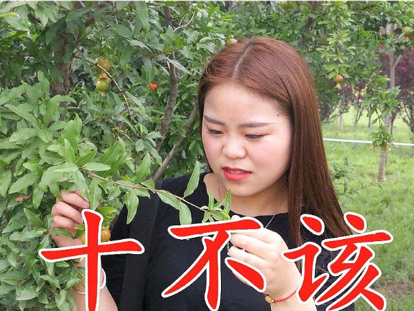 十不该歌词