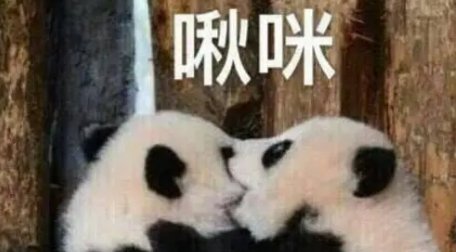 啾咪啾咪是什么梗?