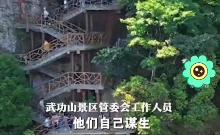 旅游景点轿夫抬哈士奇上山，网友争议“人不如狗”，景区对此是如何回应的？