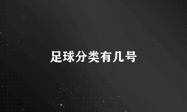 足球分类有几号