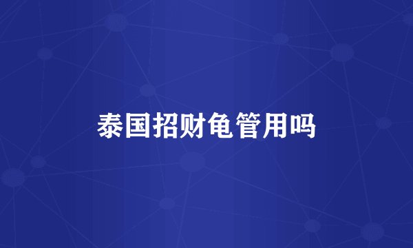 泰国招财龟管用吗
