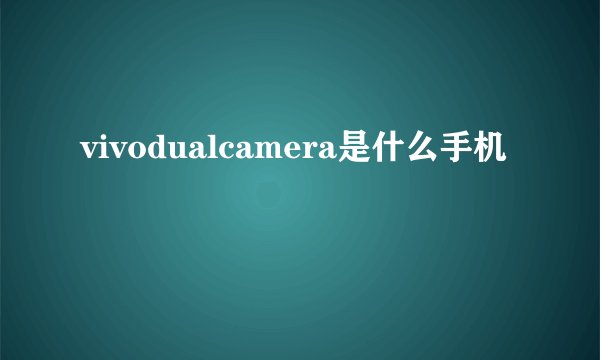 vivodualcamera是什么手机