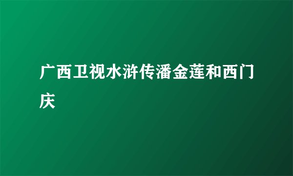 广西卫视水浒传潘金莲和西门庆