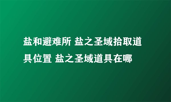 盐和避难所 盐之圣域拾取道具位置 盐之圣域道具在哪