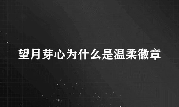 望月芽心为什么是温柔徽章