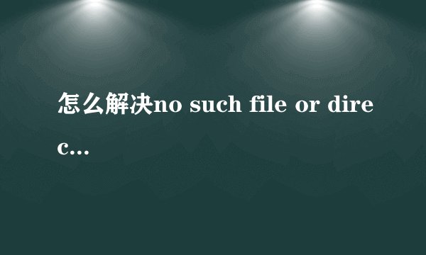 怎么解决no such file or directory