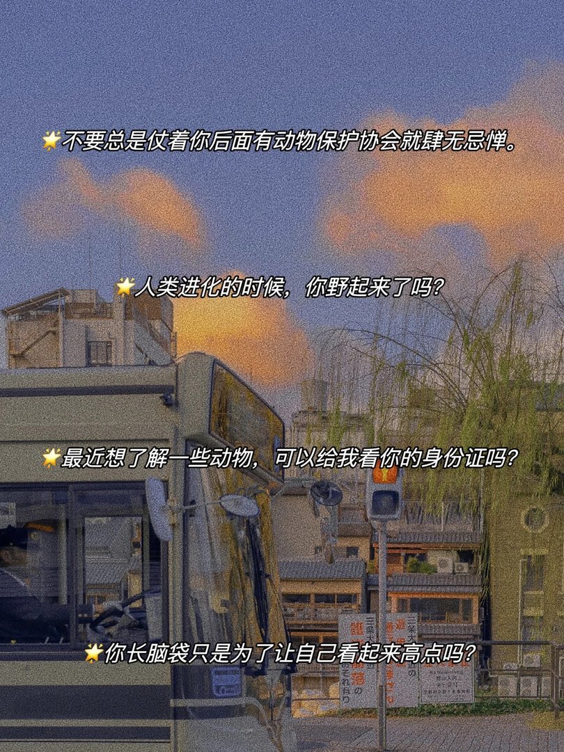 当代网友斯文骂人文案