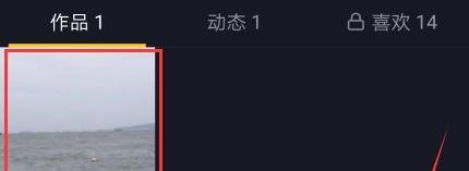 抖音怎么禁止别人下载保存自己的视频