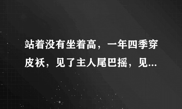站着没有坐着高，一年四季穿皮袄，见了主人尾巴摇，见了生人就想咬（打一动物）谜底及原因