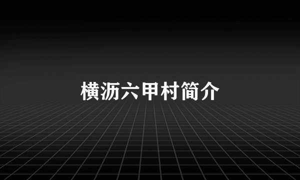 横沥六甲村简介