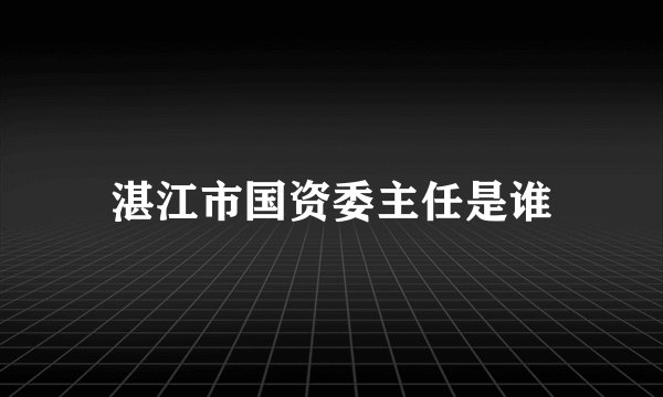 湛江市国资委主任是谁