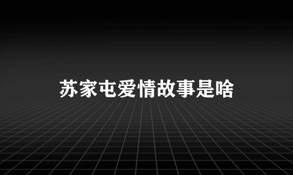 苏家屯爱情故事是啥