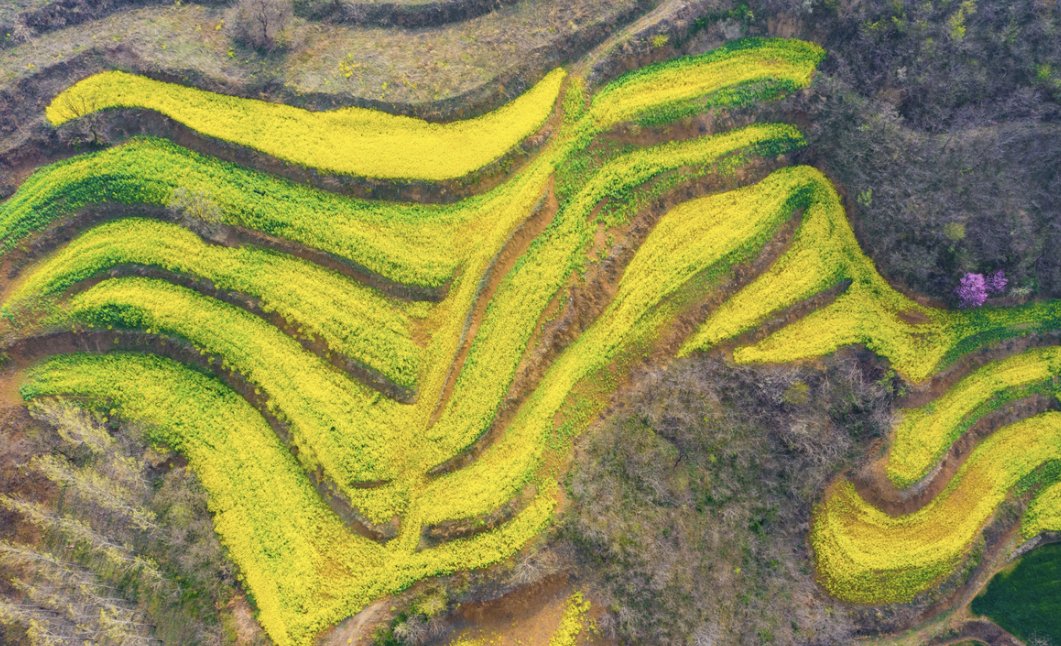 陌读bai吗