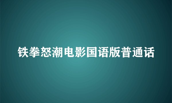 铁拳怒潮电影国语版普通话