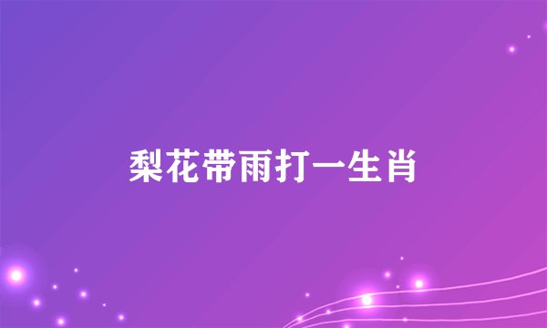 梨花带雨打一生肖