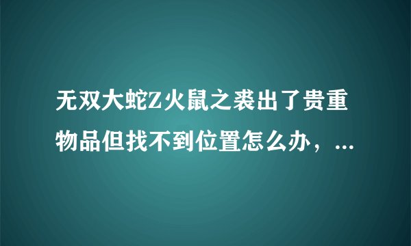 无双大蛇Z火鼠之裘出了贵重物品但找不到位置怎么办，有的给位置截个图看看···找不到了！