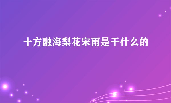 十方融海梨花宋雨是干什么的