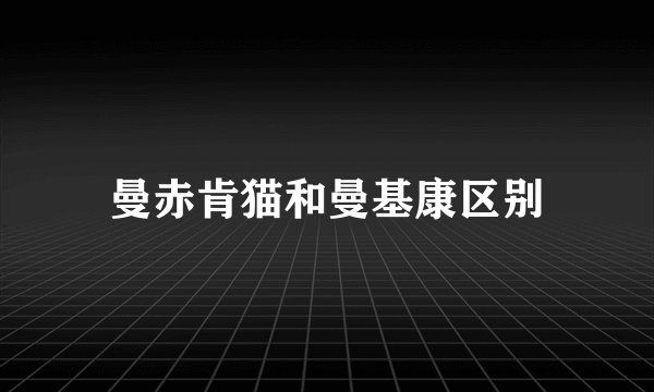曼赤肯猫和曼基康区别