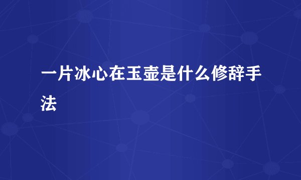 一片冰心在玉壶是什么修辞手法