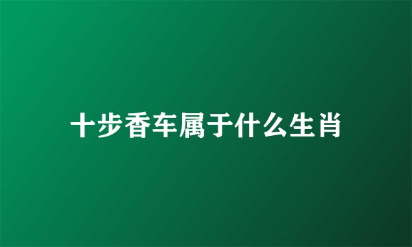 十步香车属于什么生肖