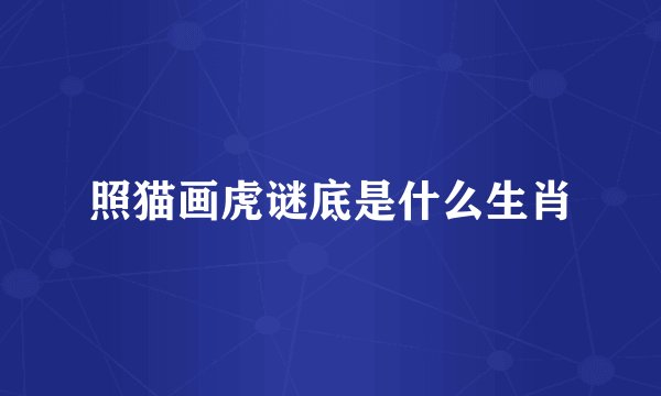 照猫画虎谜底是什么生肖