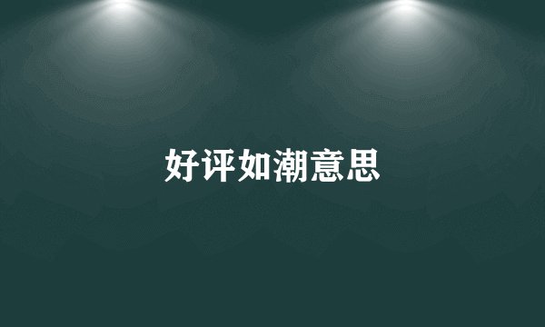 好评如潮意思